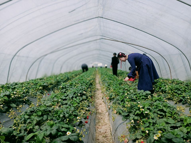 MG����(�й���)����ٷ���վ