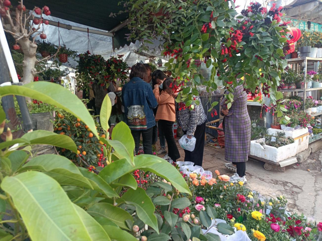 MG����(�й���)����ٷ���վ