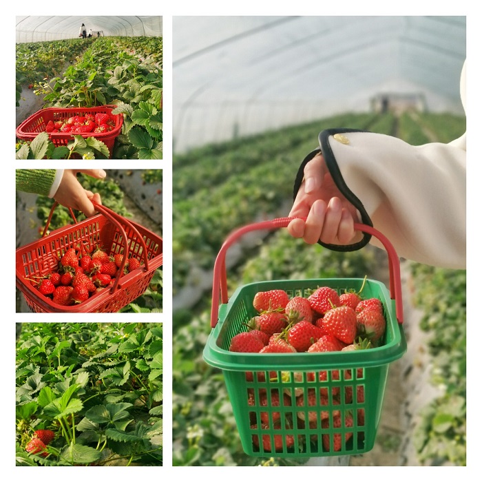 MG电子(中国游)试玩官方网站