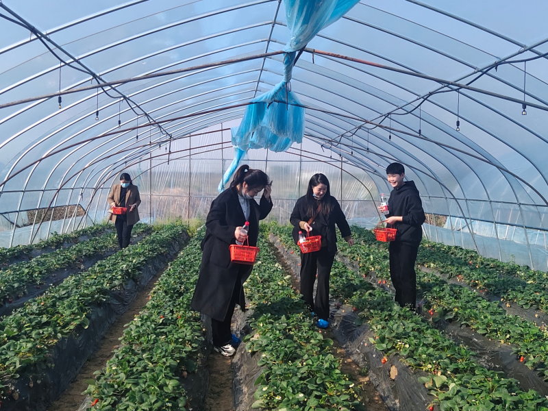 MG����(�й���)����ٷ���վ