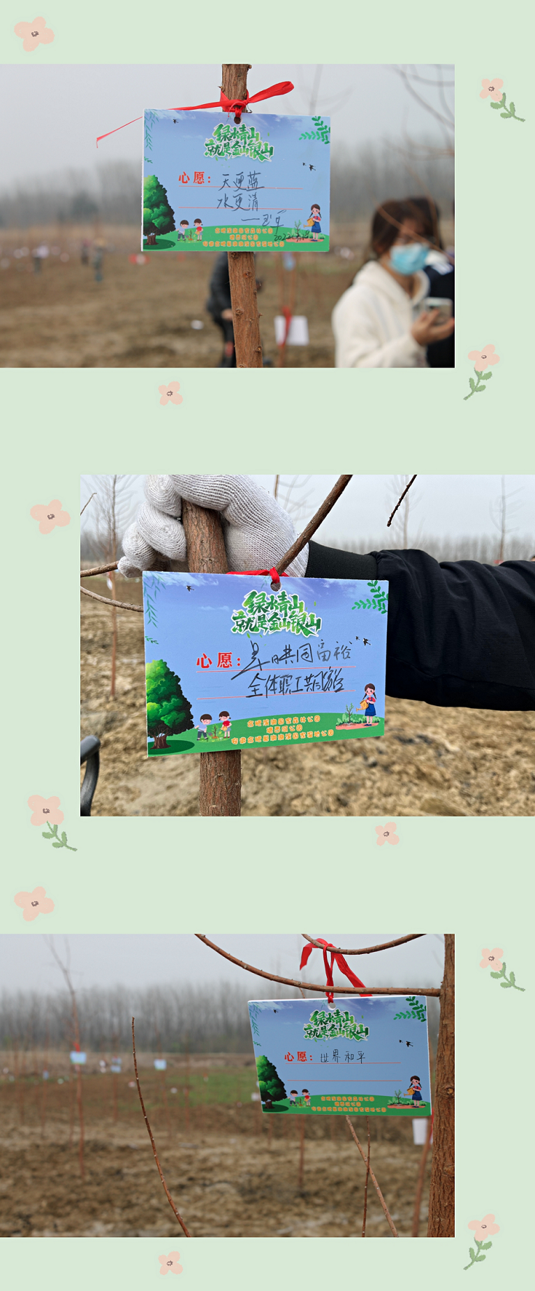 MG����(�й���)����ٷ���վ