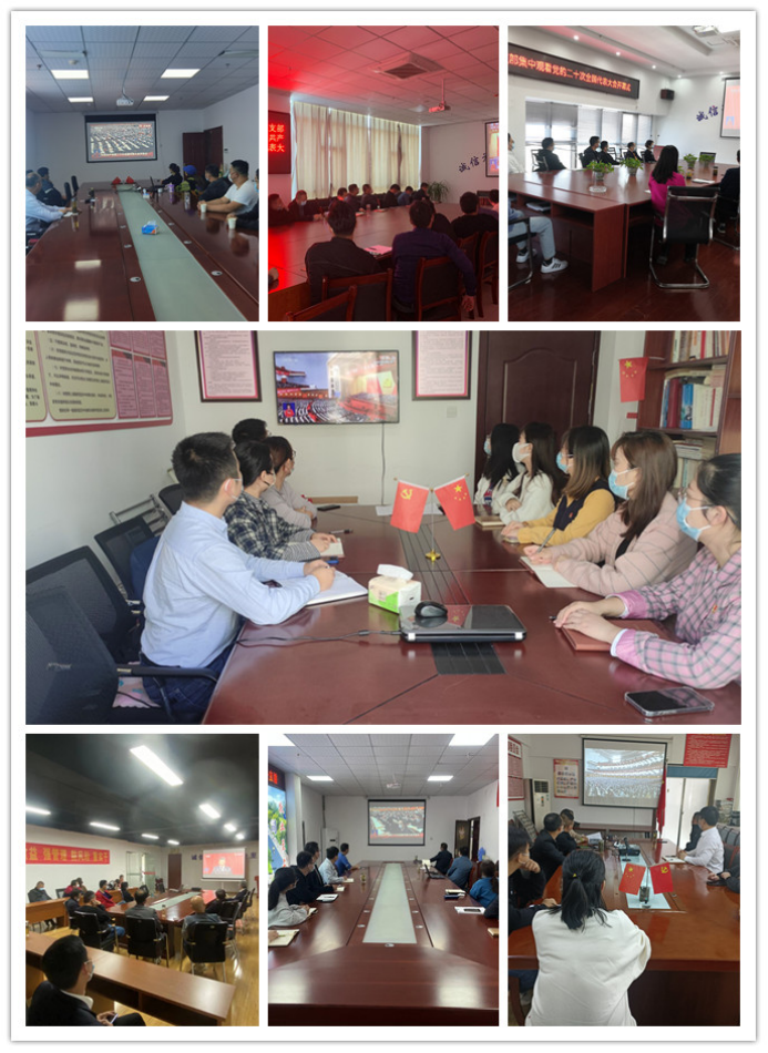 MG����(�й���)����ٷ���վ