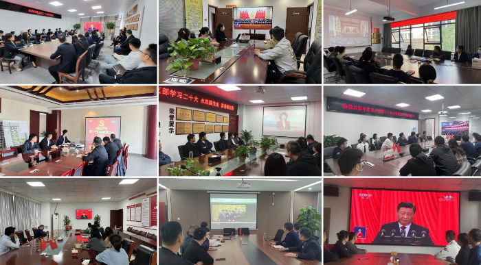 MG电子(中国游)试玩官方网站