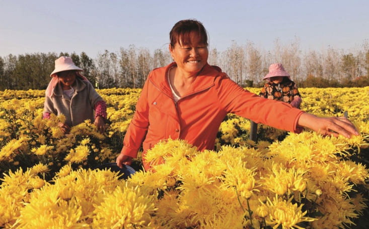 MG电子(中国游)试玩官方网站