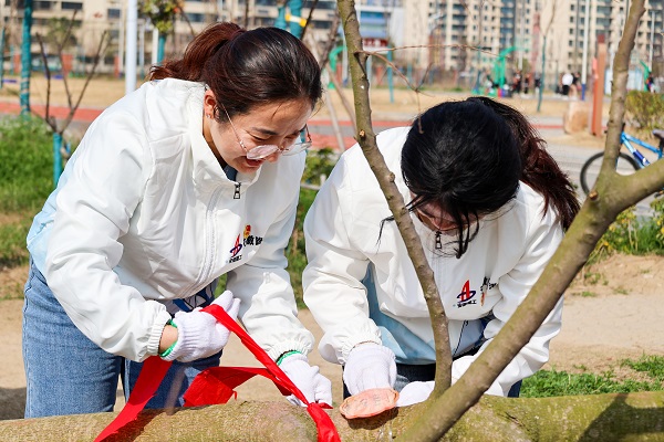 MG����(�й���)����ٷ���վ