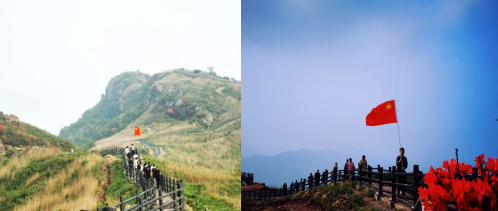 MG����(�й���)����ٷ���վ