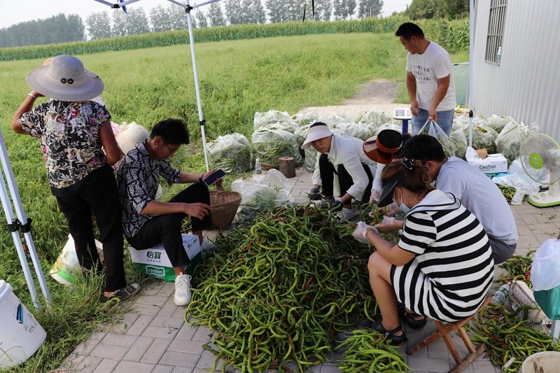 MG����(�й���)����ٷ���վ