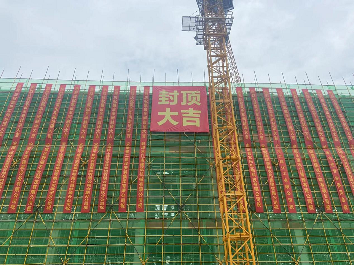 MG电子(中国游)试玩官方网站
