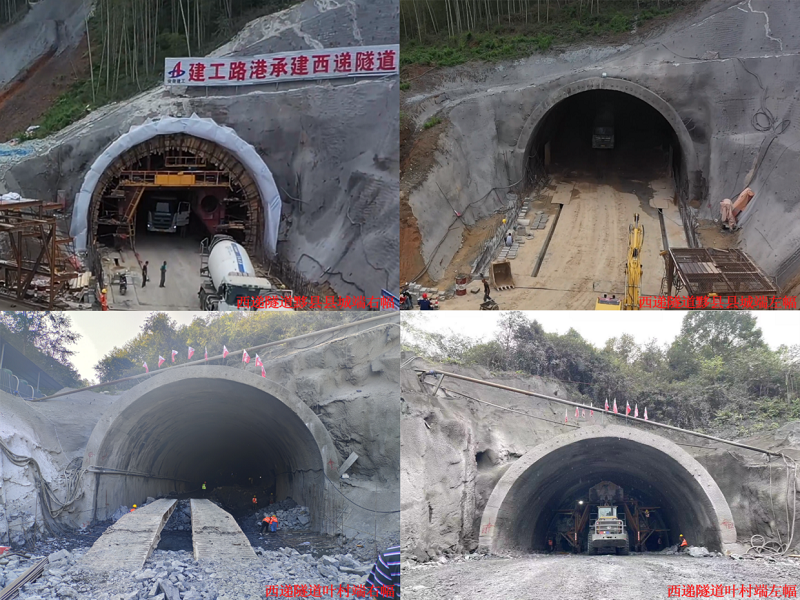 MG电子(中国游)试玩官方网站