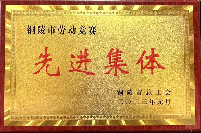 MG电子(中国游)试玩官方网站
