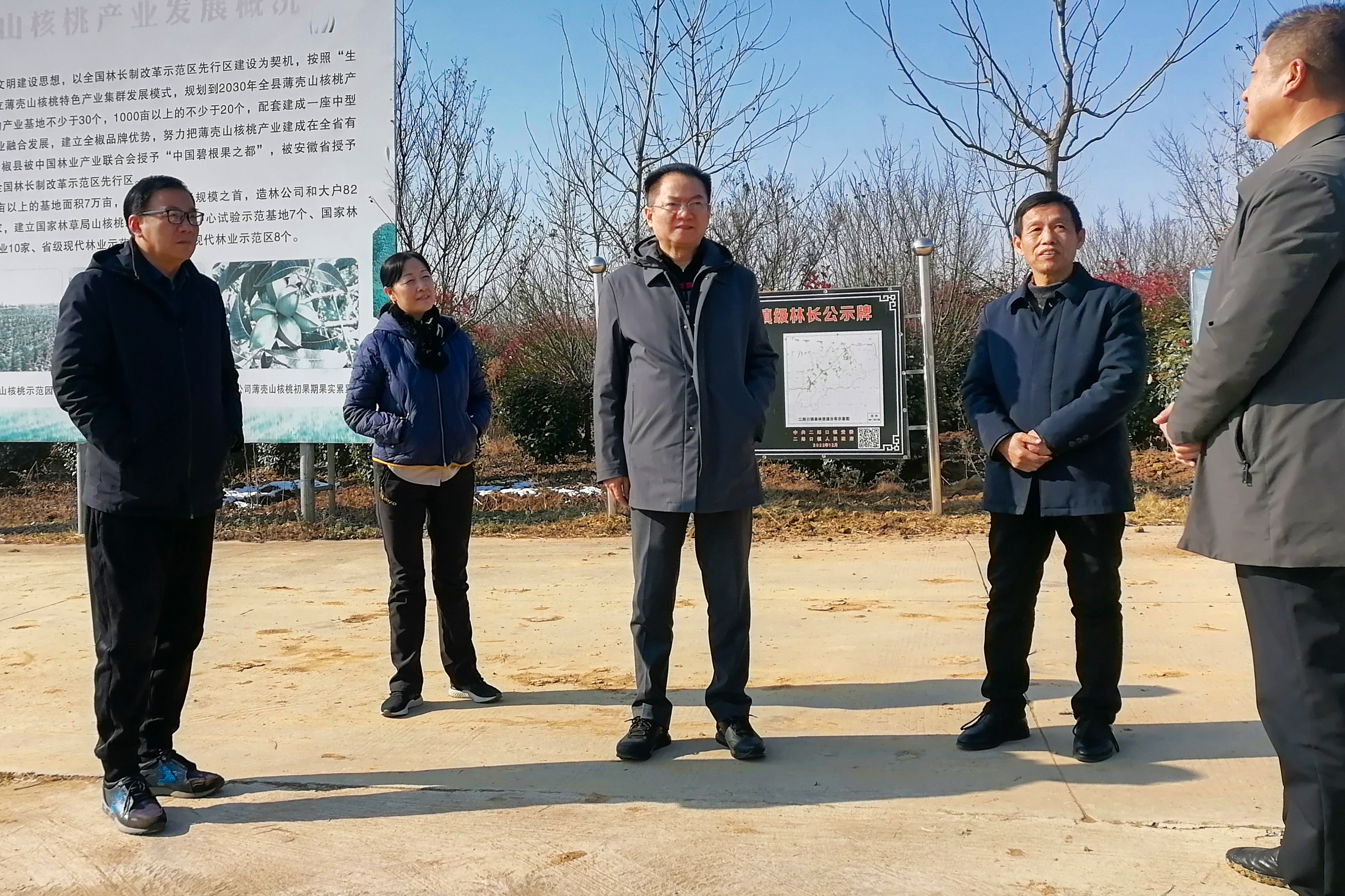 MG����(�й���)����ٷ���վ