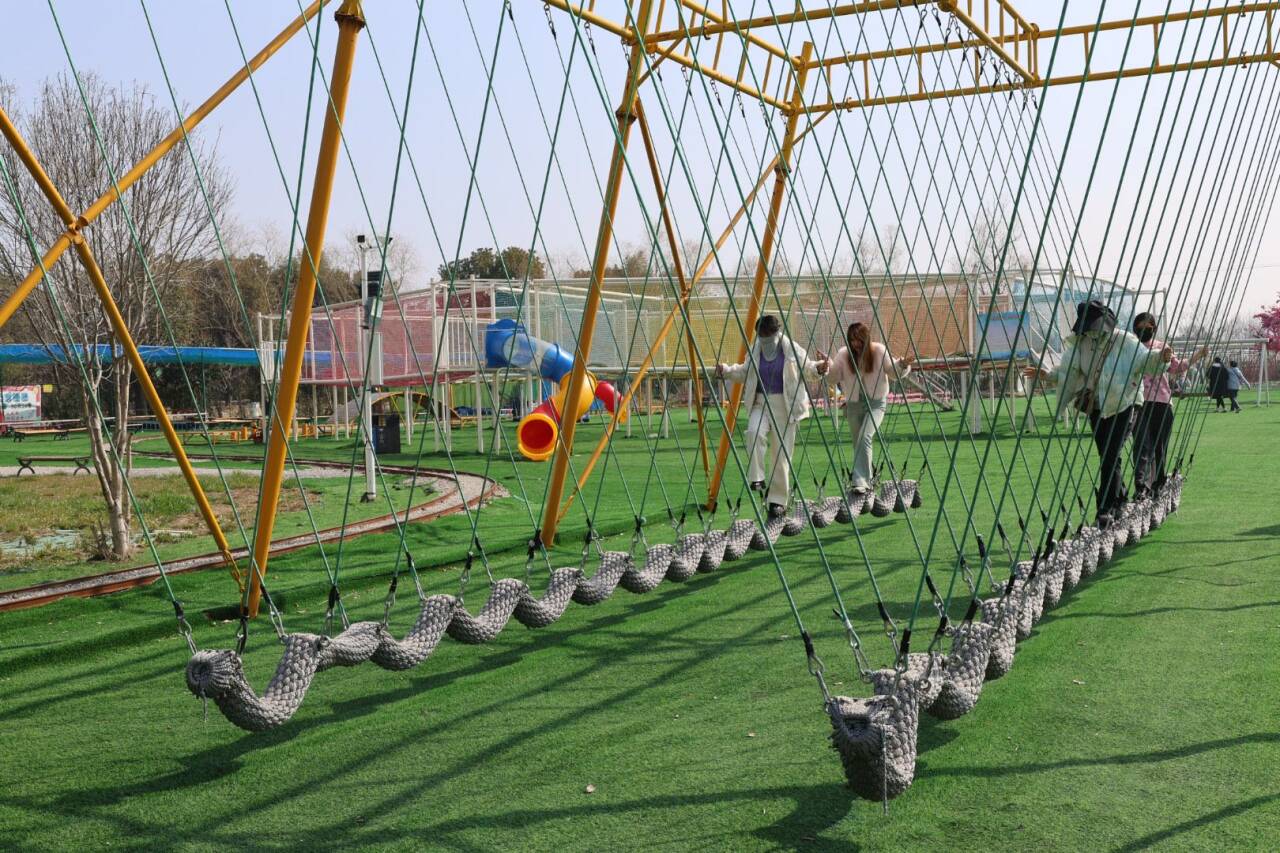 MG����(�й���)����ٷ���վ