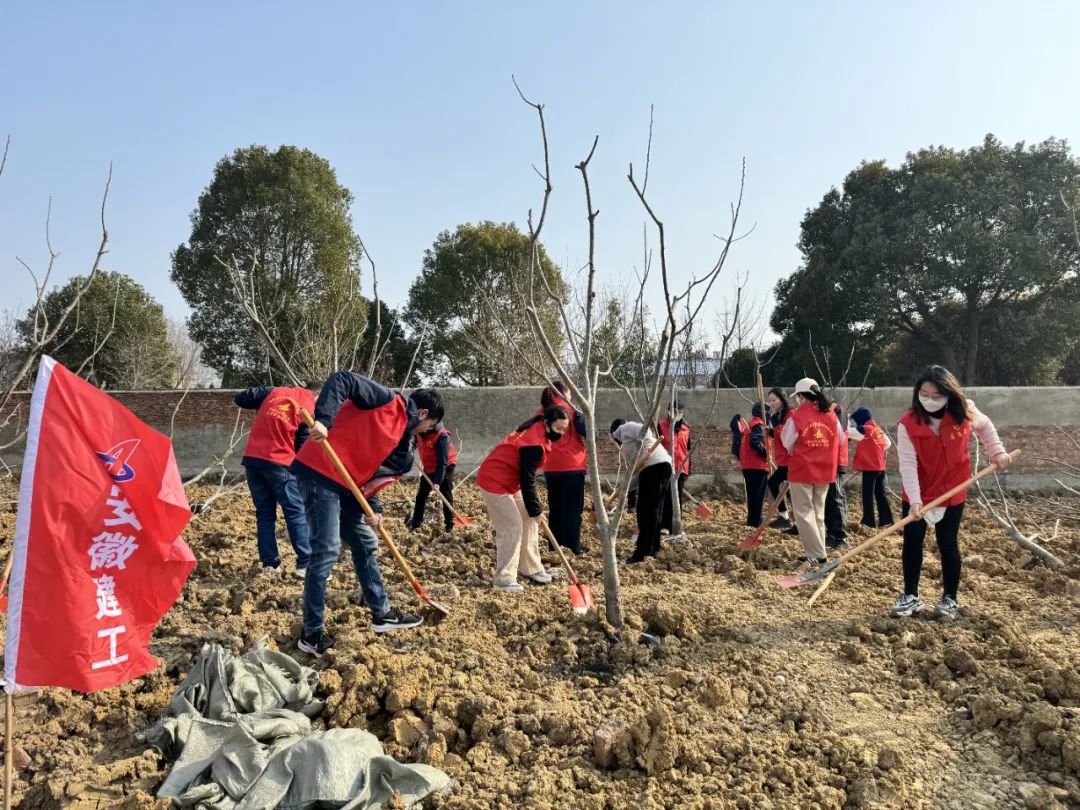 MG����(�й���)����ٷ���վ