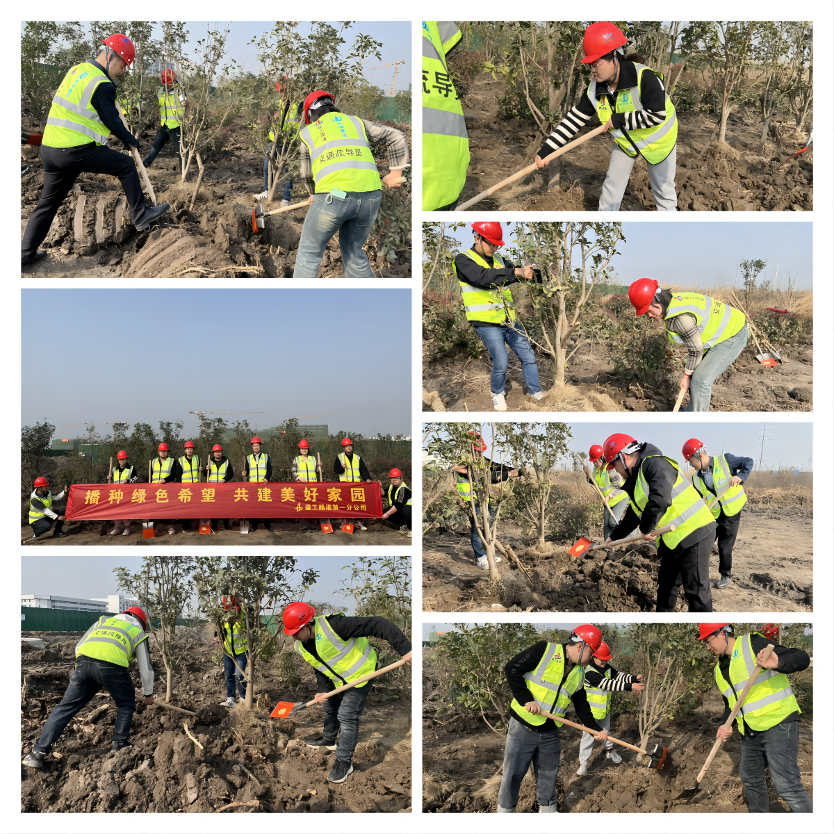 MG电子(中国游)试玩官方网站