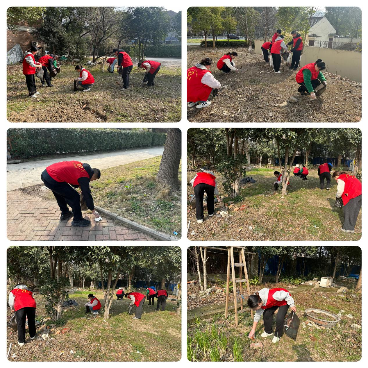 MG电子(中国游)试玩官方网站