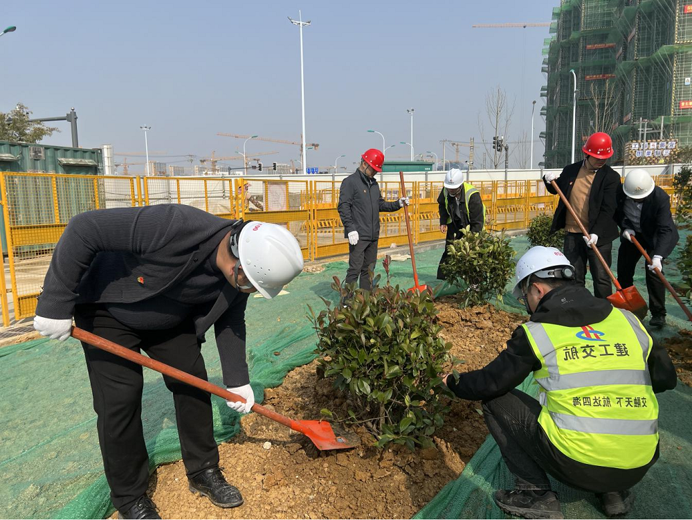 MG����(�й���)����ٷ���վ