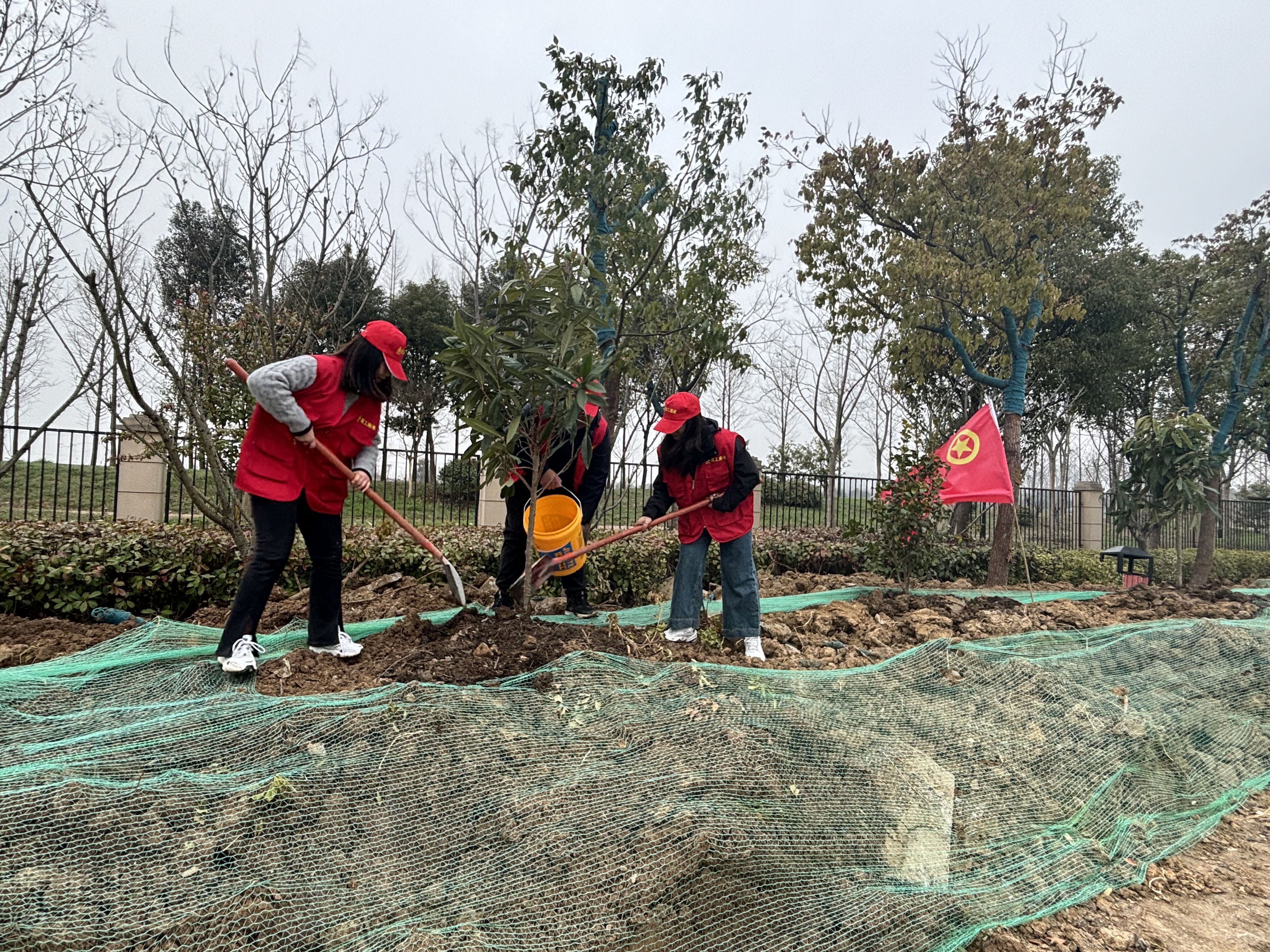 MG电子(中国游)试玩官方网站