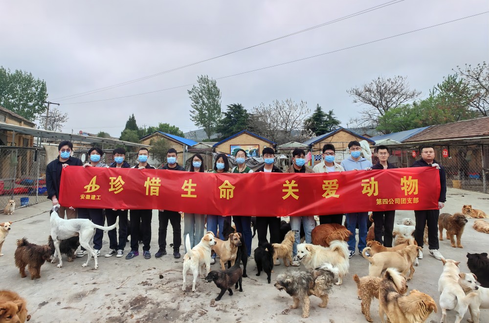 MGµç×Ó(ÖйúÓÎ)ÊÔÍæ¹Ù·½ÍøÕ¾