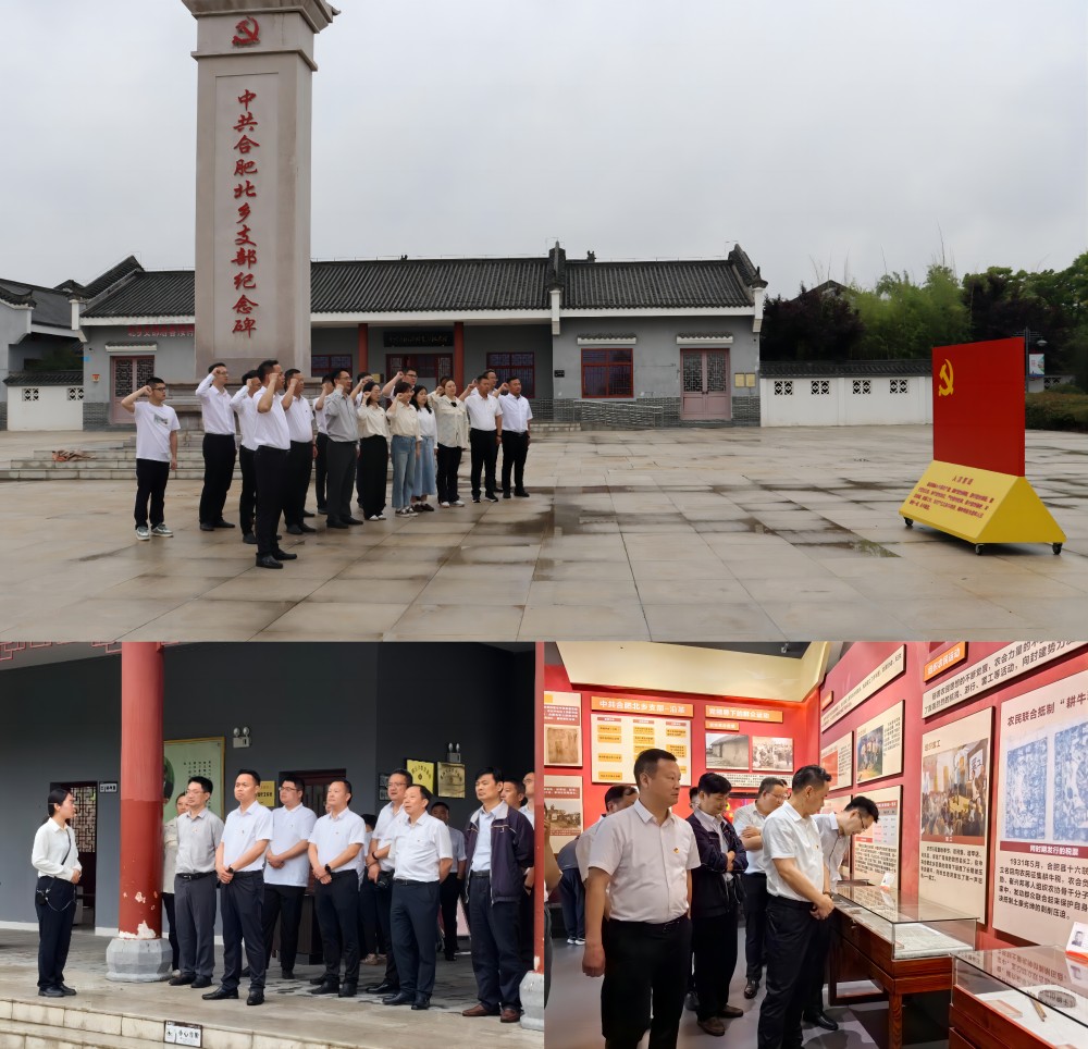 MG����(�й���)����ٷ���վ