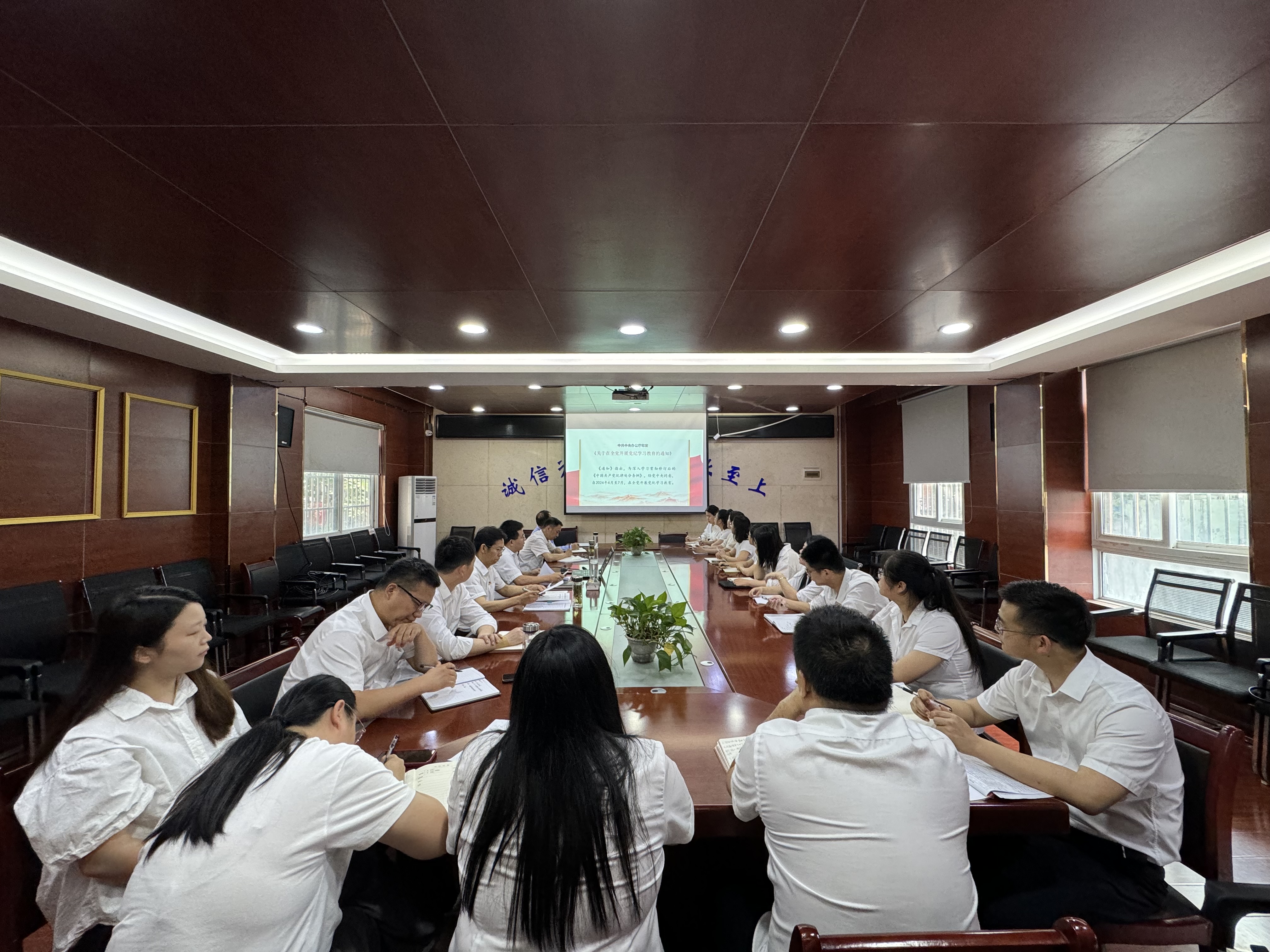 MG����(�й���)����ٷ���վ