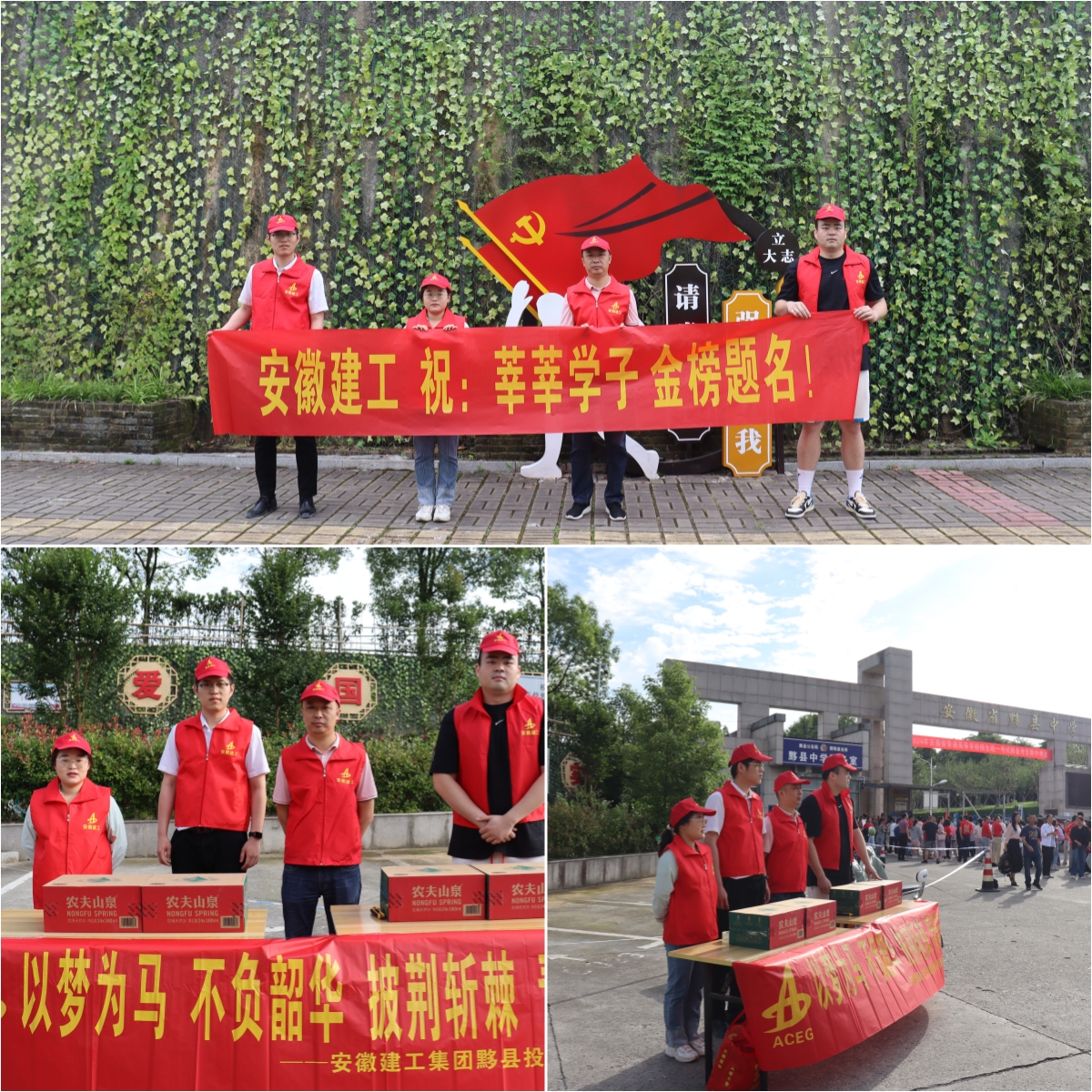 MG����(�й���)����ٷ���վ