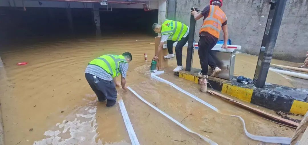 MG����(�й���)����ٷ���վ