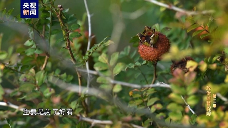 MG电子(中国游)试玩官方网站