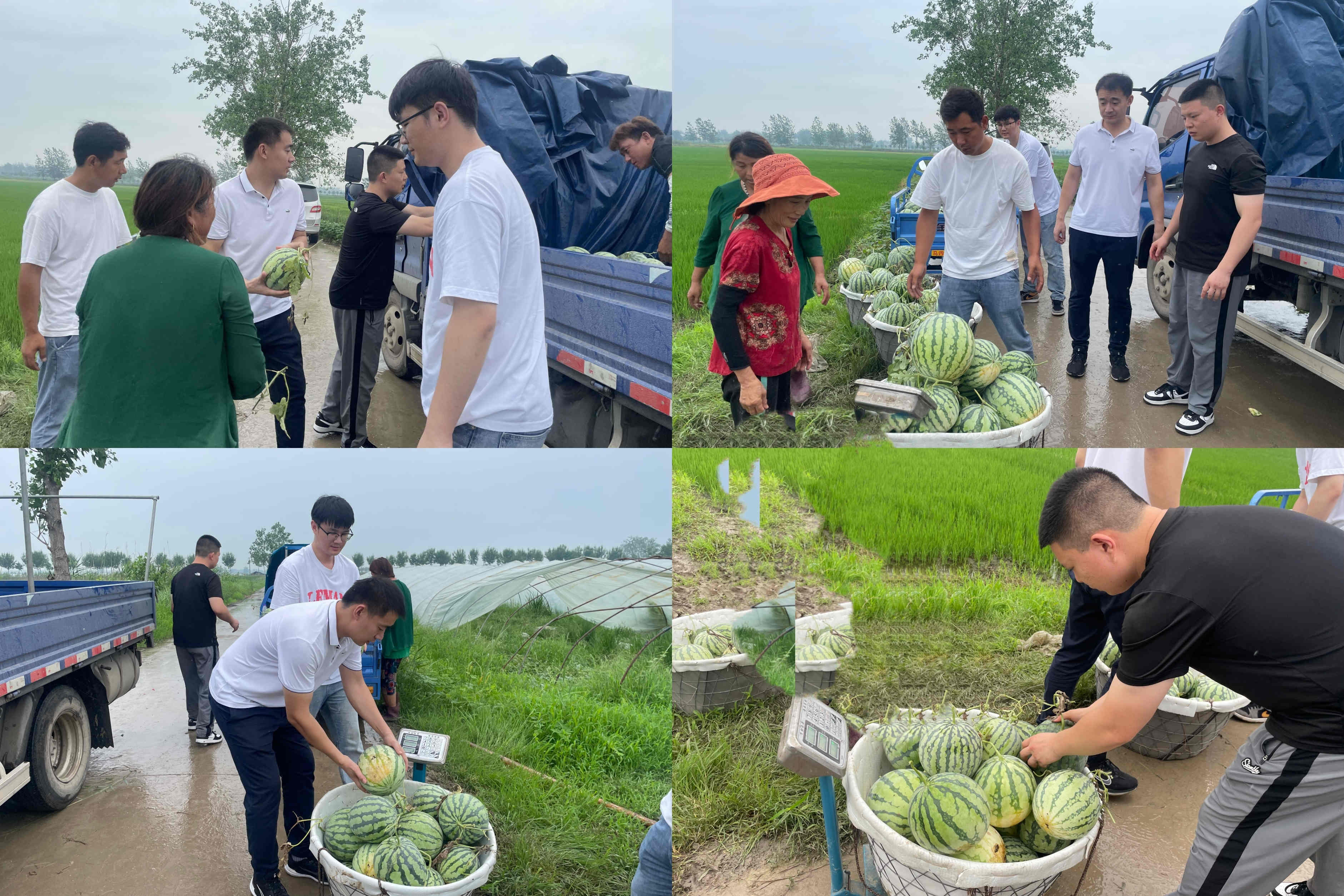 MG����(�й���)����ٷ���վ