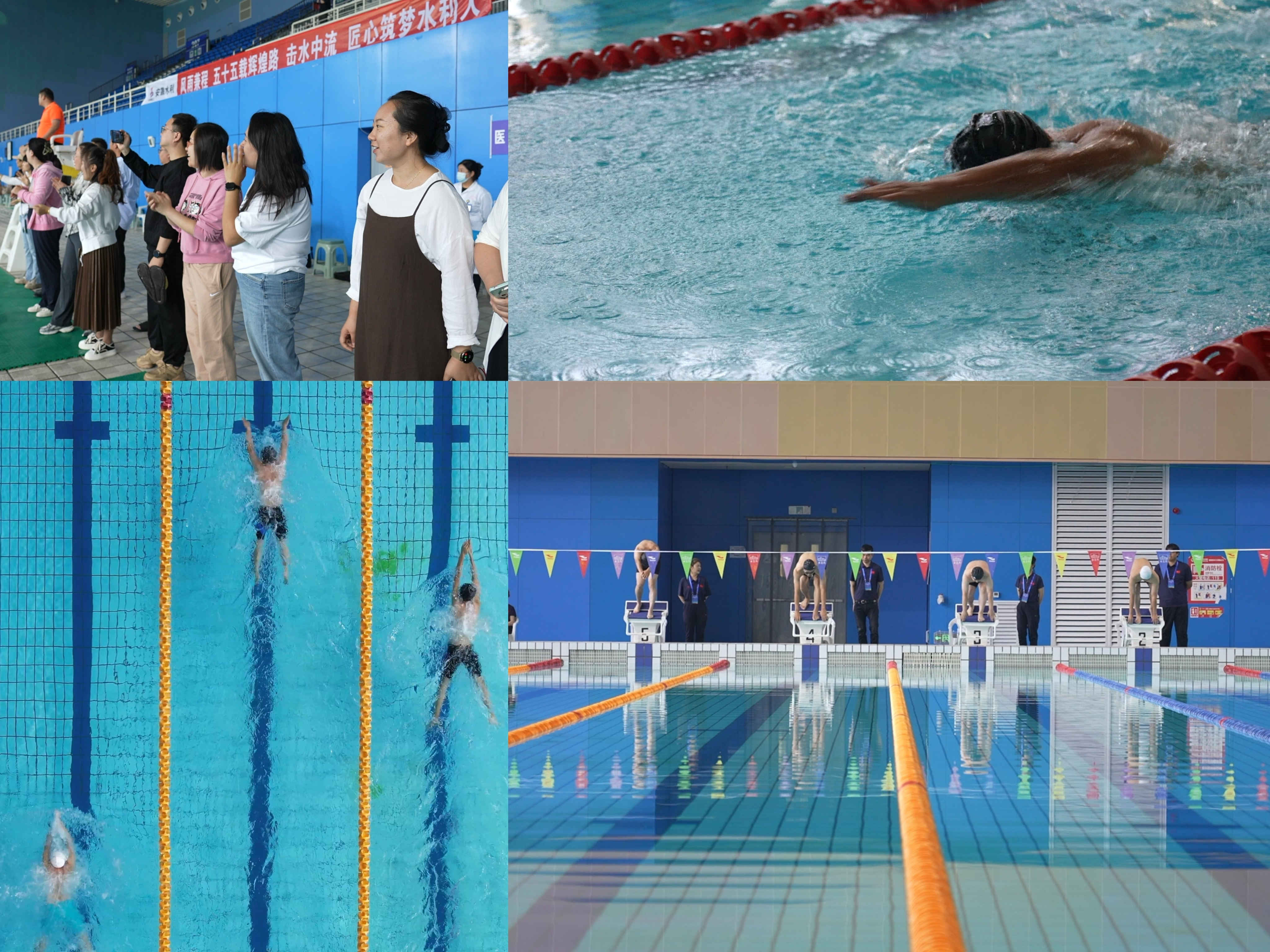 MG����(�й���)����ٷ���վ