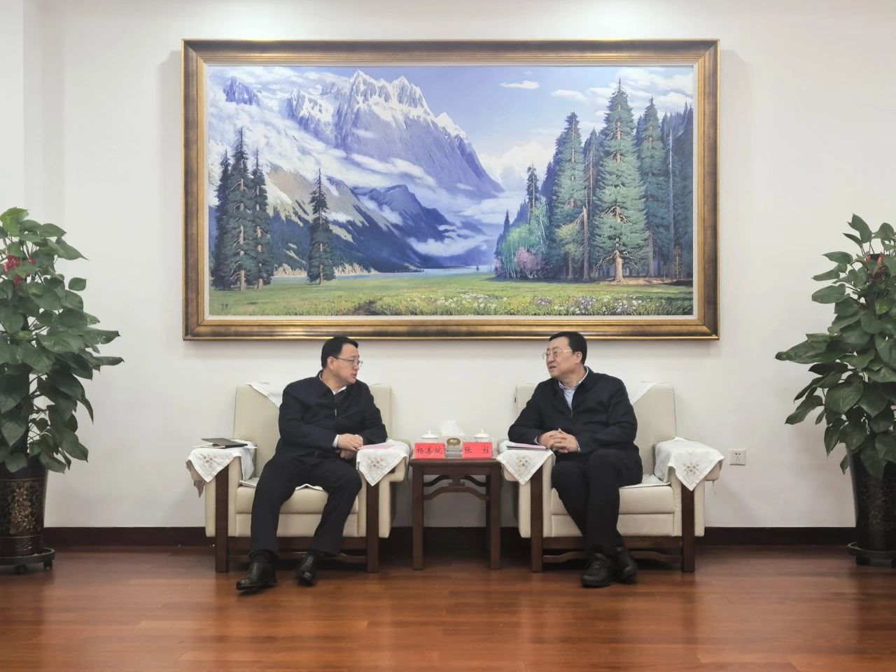 MG电子(中国游)试玩官方网站