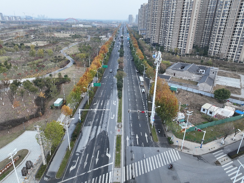 MG����(�й���)����ٷ���վ