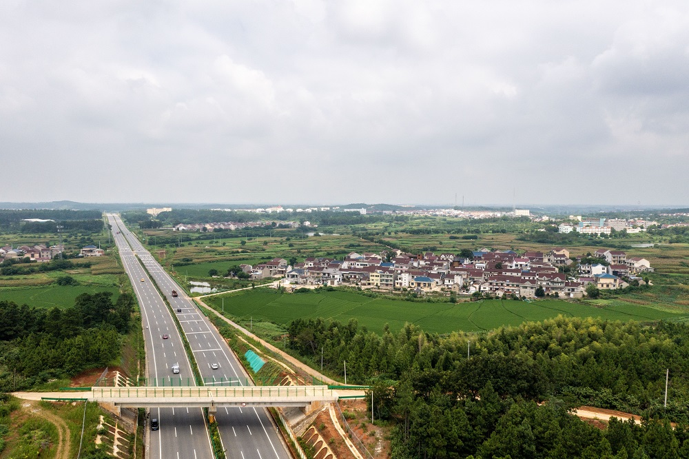 MG����(�й���)����ٷ���վ