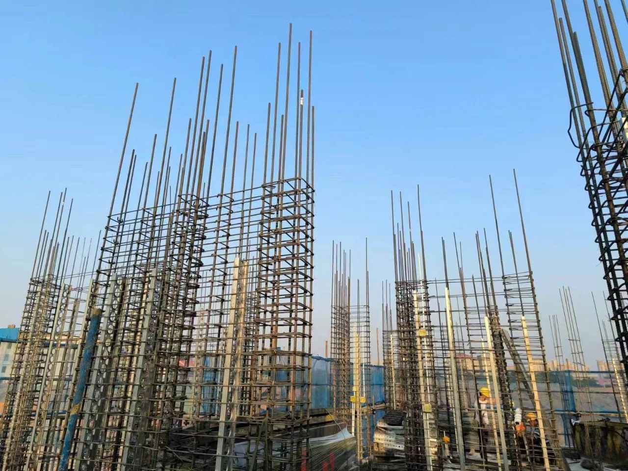 MG����(�й���)����ٷ���վ