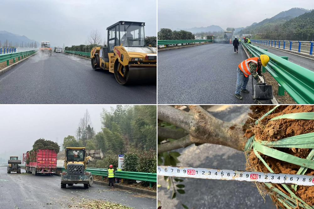 MG����(�й���)����ٷ���վ