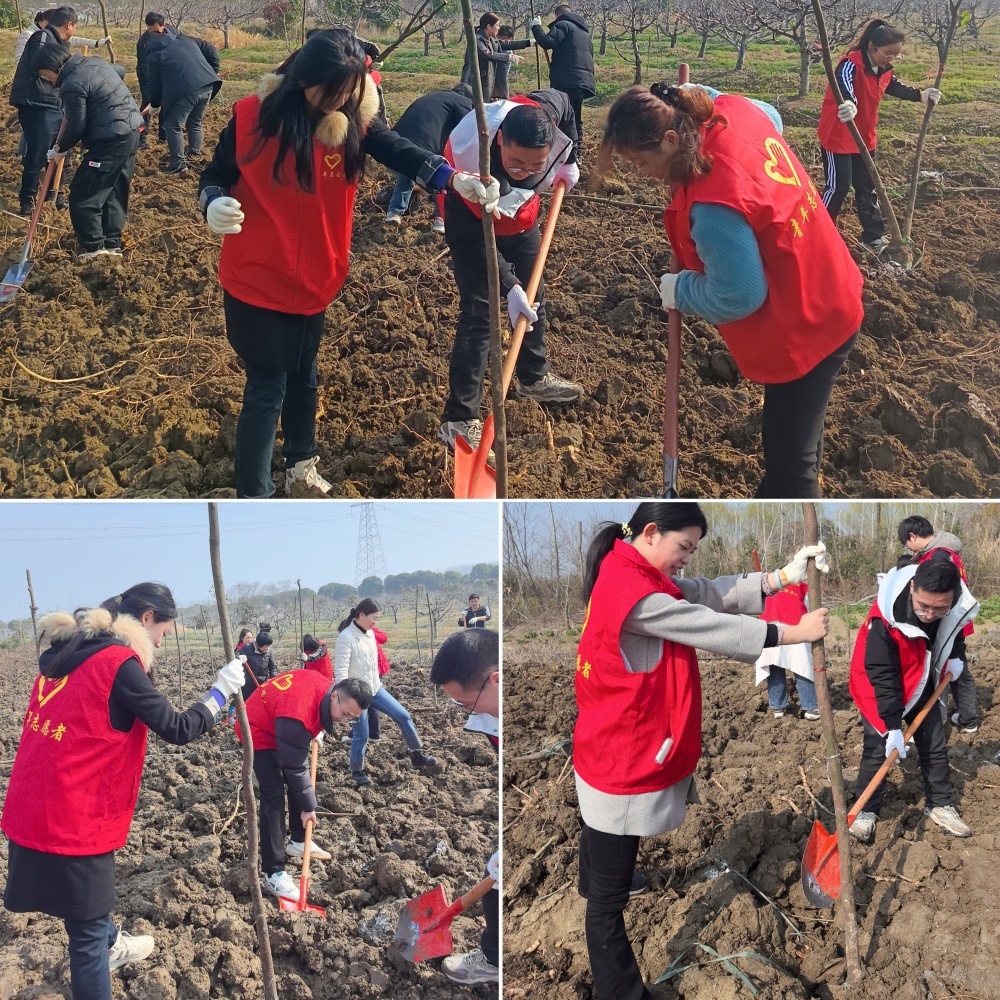 MG����(�й���)����ٷ���վ