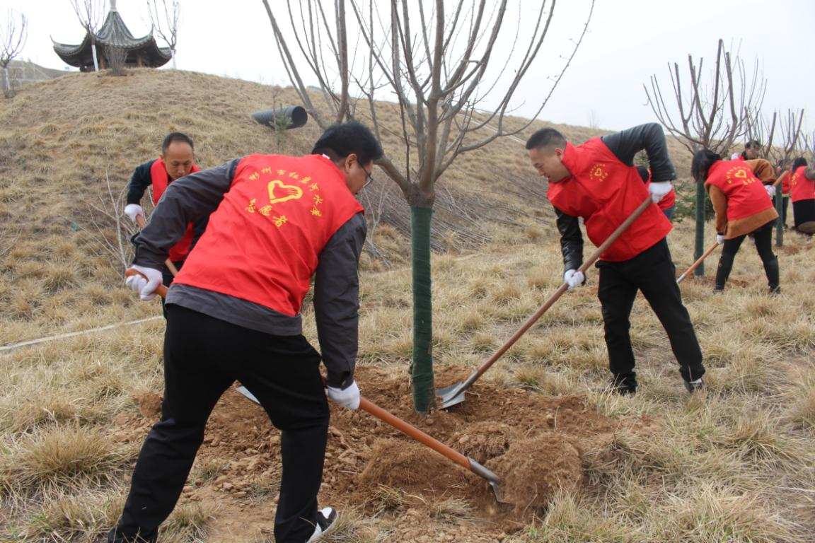 MG����(�й���)����ٷ���վ