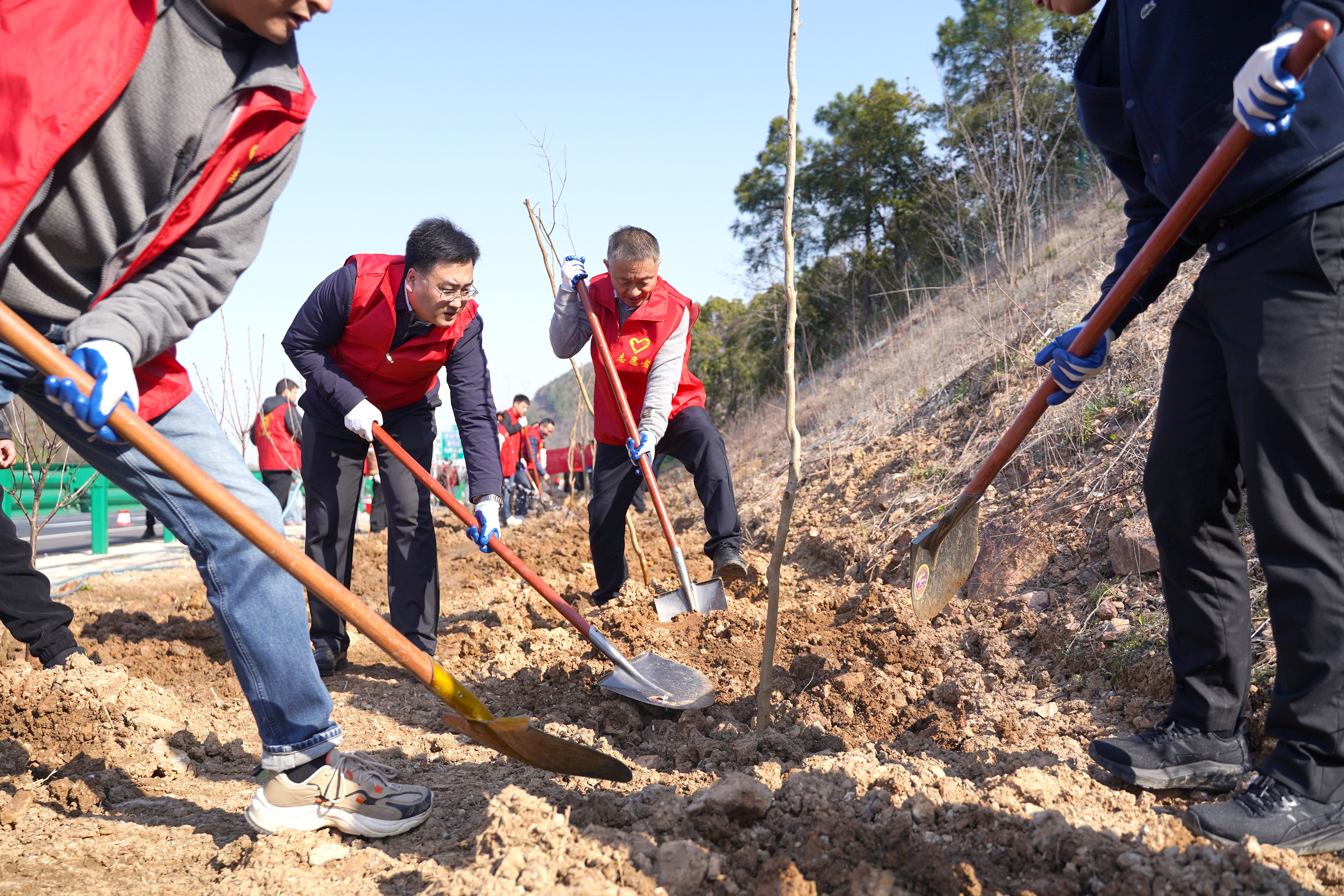 MG����(�й���)����ٷ���վ