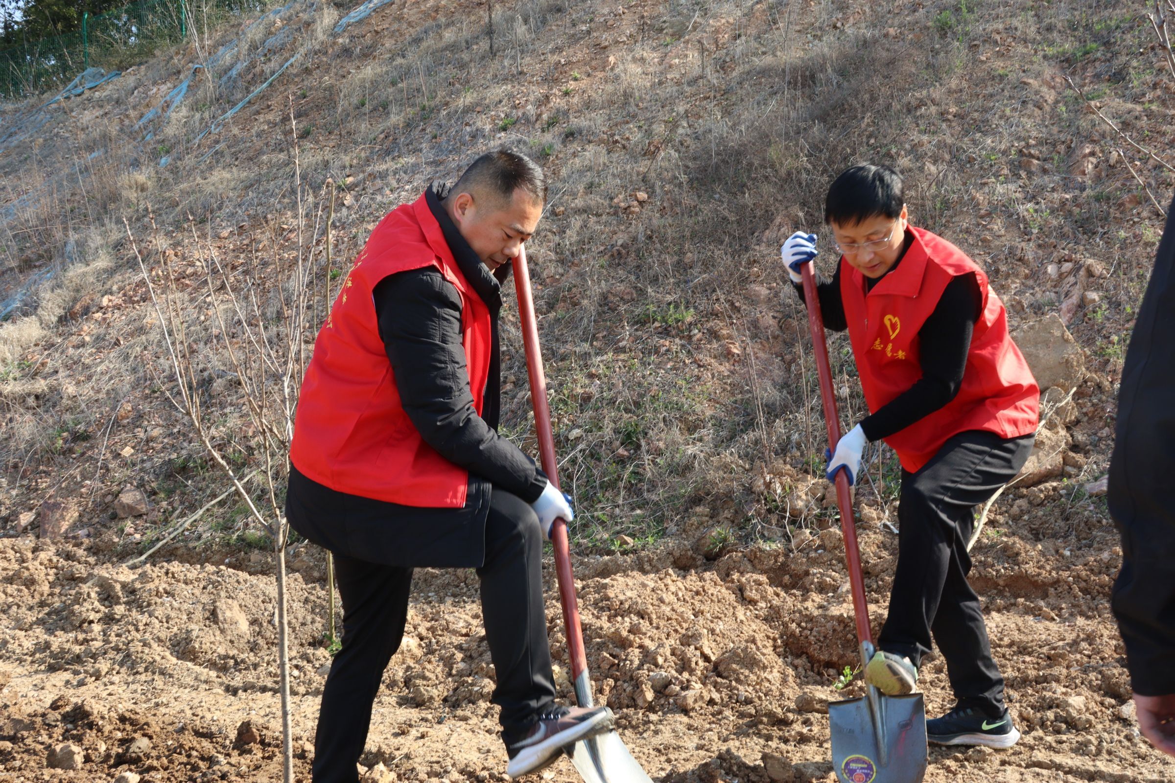 MG����(�й���)����ٷ���վ