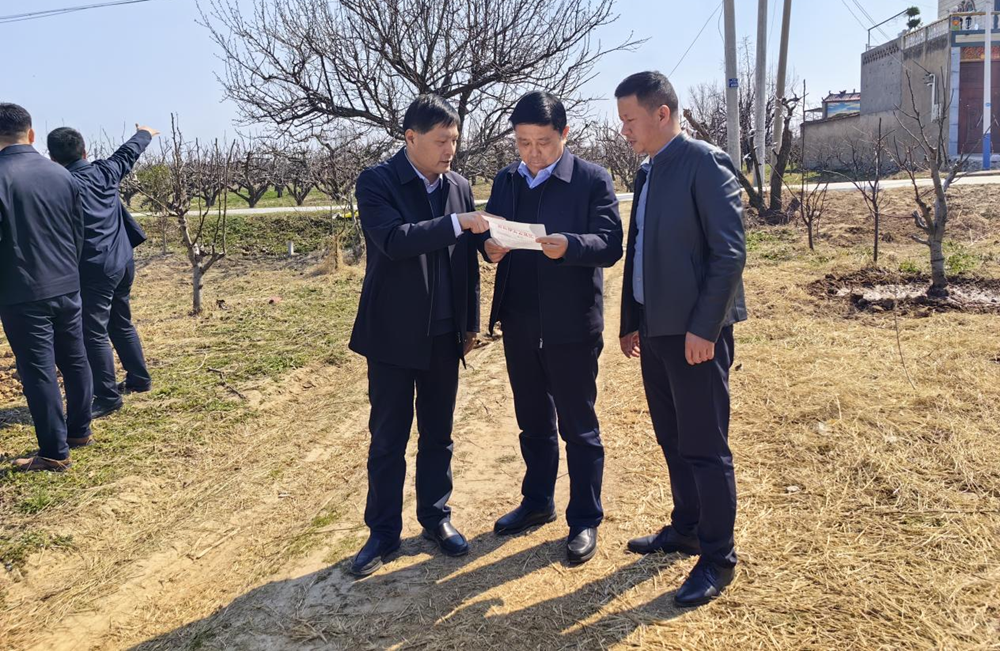 MG����(�й���)����ٷ���վ