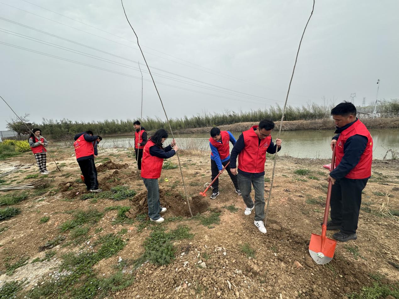 MG电子(中国游)试玩官方网站