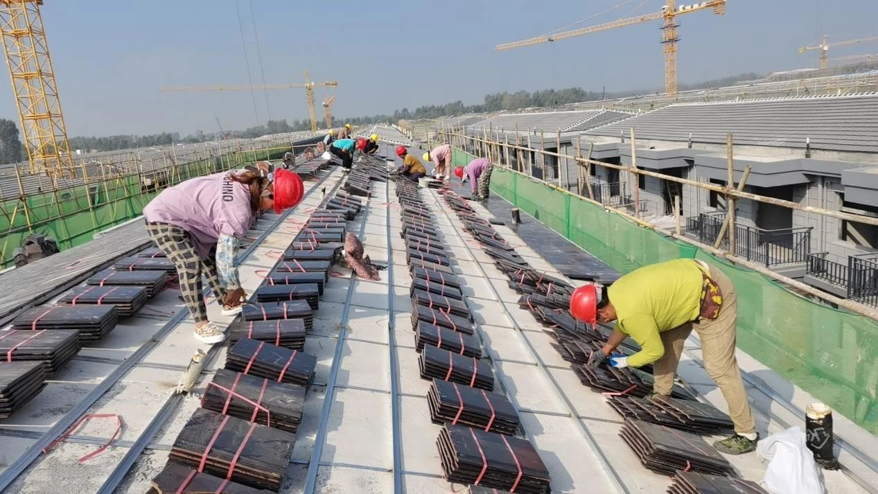 MG����(�й���)����ٷ���վ