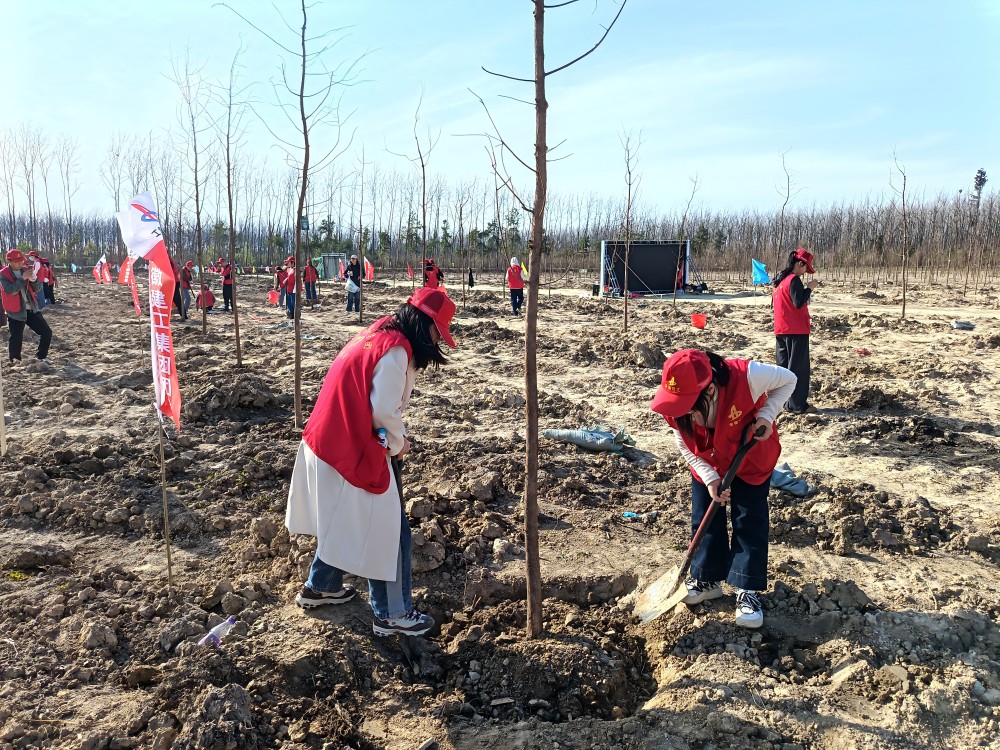 MG����(�й���)����ٷ���վ