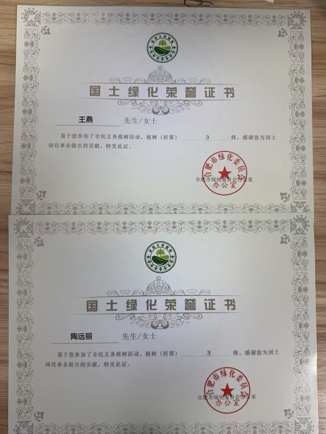 MG����(�й���)����ٷ���վ