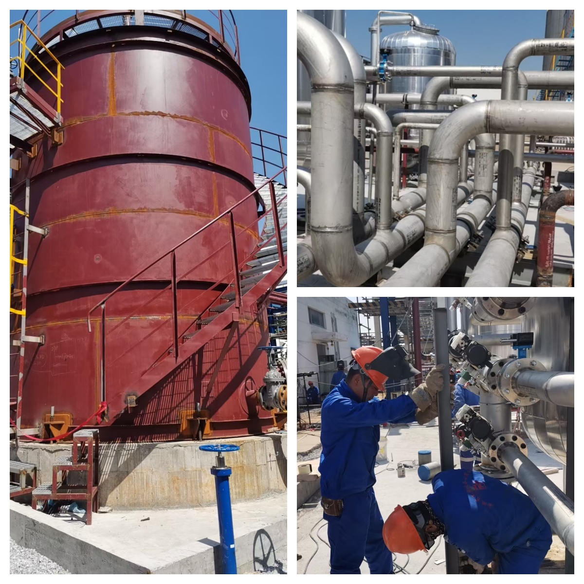 MG����(�й���)����ٷ���վ