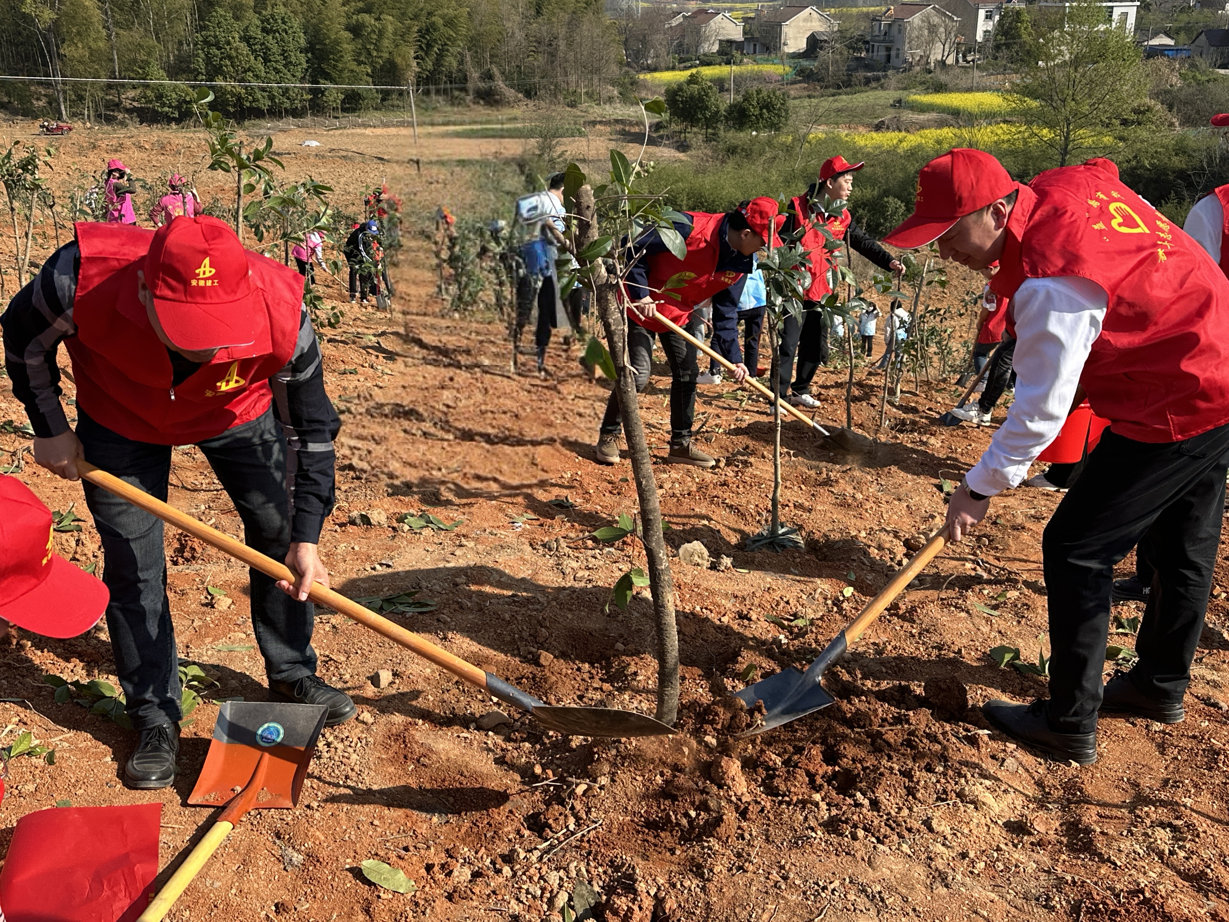 MG����(�й���)����ٷ���վ