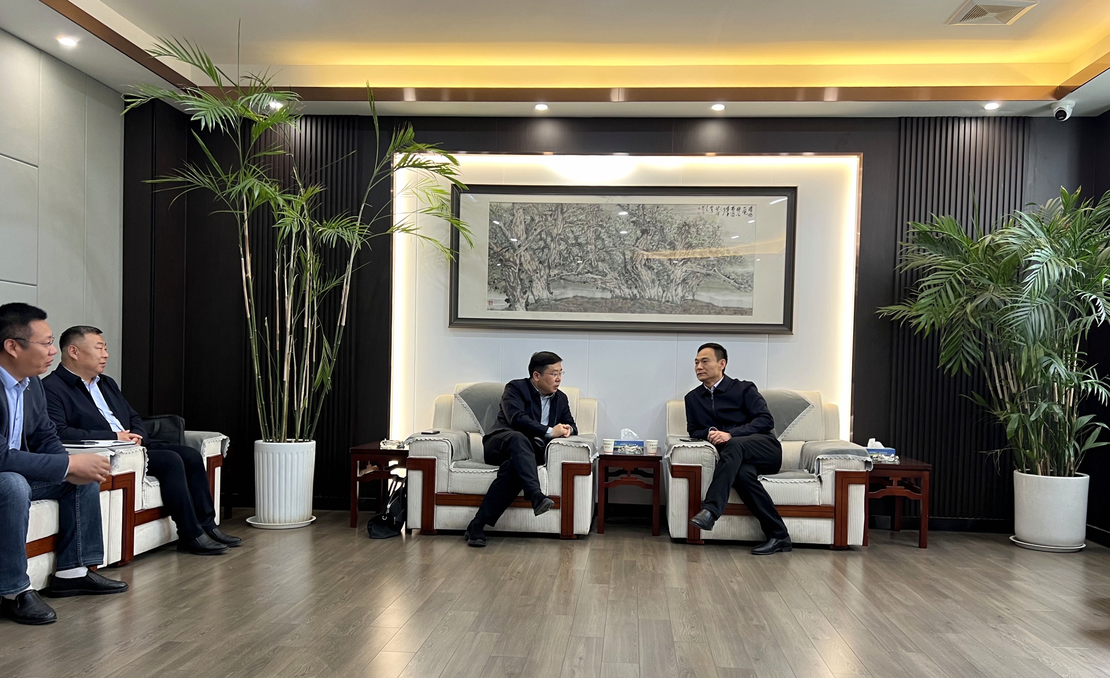 MG����(�й���)����ٷ���վ