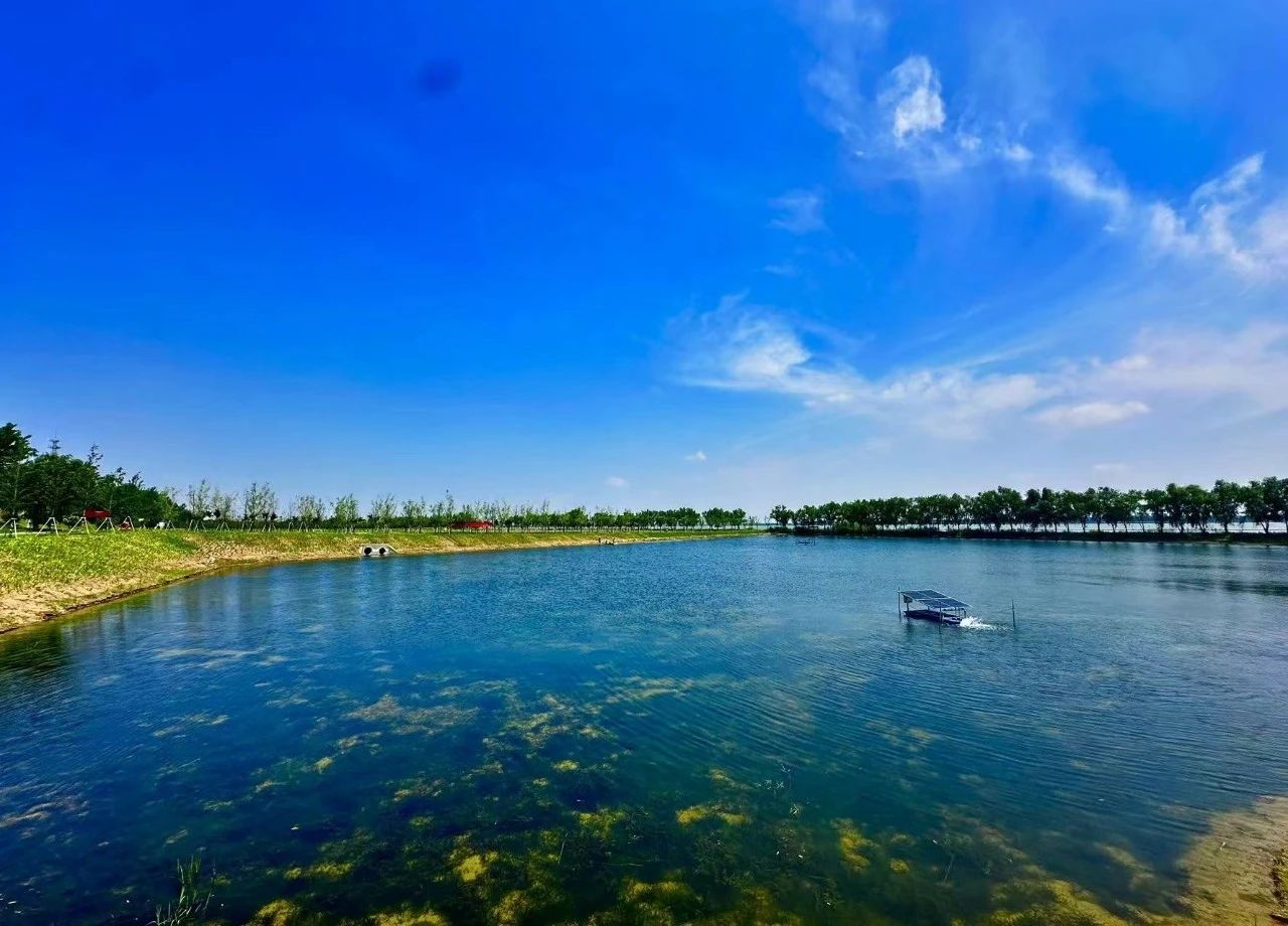 MG����(�й���)����ٷ���վ