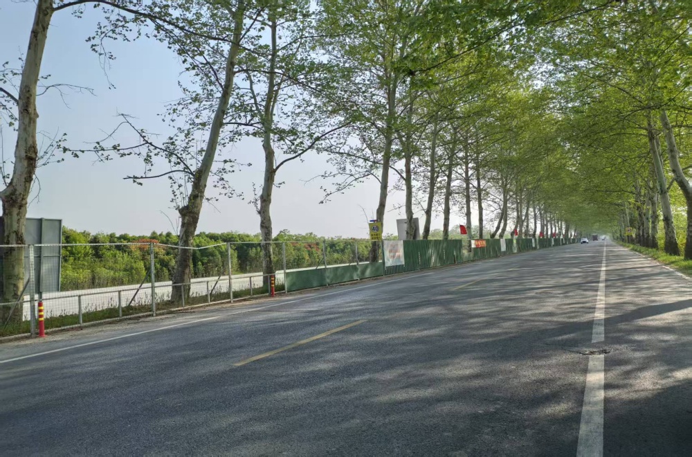 MG����(�й���)����ٷ���վ