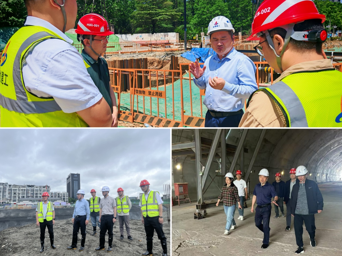 MG����(�й���)����ٷ���վ