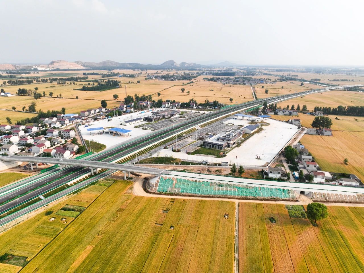 MG电子(中国游)试玩官方网站